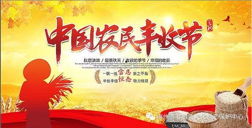 农村节目爆料大全最新,真实农村生活大起底