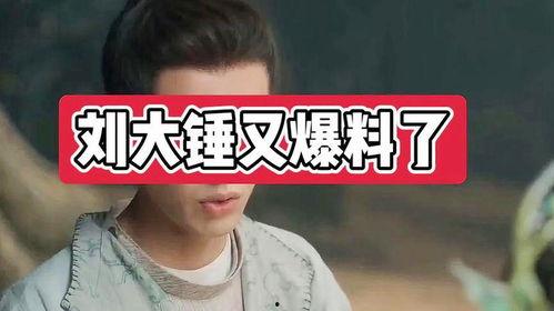 刘大锤最新爆料2023,揭秘娱乐圈惊天秘密